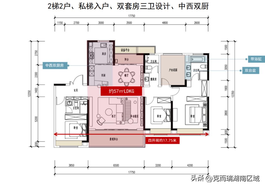 电梯加装最新消息,电梯加装最新消息，技术革新与未来展望