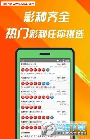 王中王493333中特1肖,王中王493333中特1肖的魅力与探索