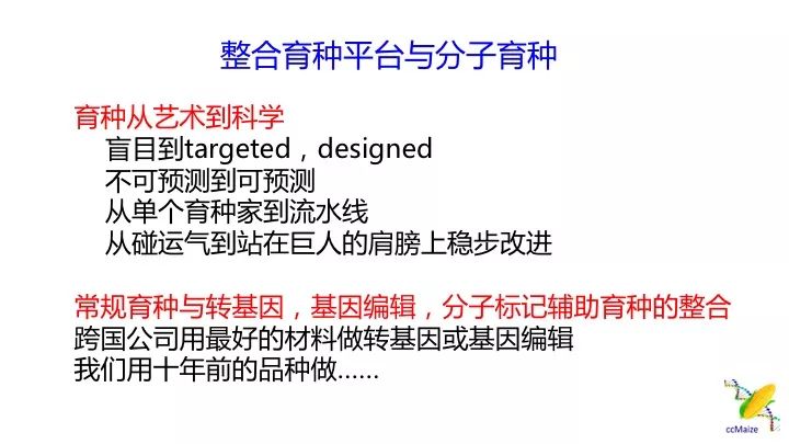 新澳内部高级资料,新澳内部高级资料，揭示背后的犯罪风险与挑战