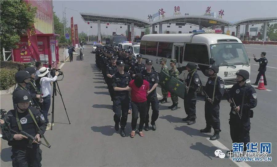 澳门好运来一肖中特,澳门好运来一肖中特与犯罪问题探讨