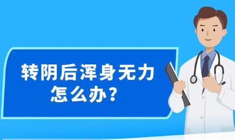 2024年12月15日 第8页