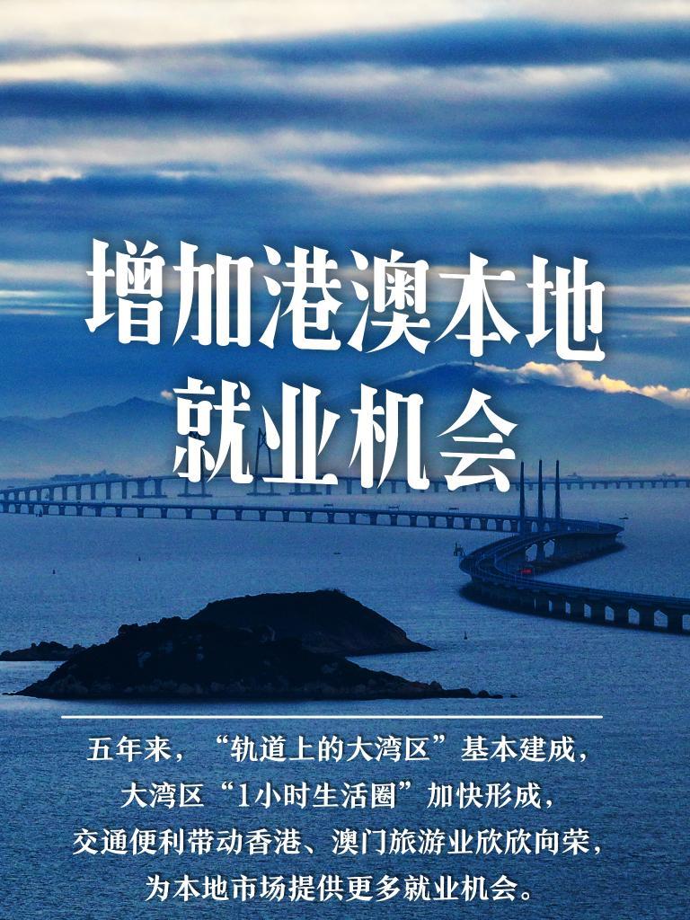 2024新澳门正版挂牌,探索新澳门正版挂牌的机遇与挑战，迈向未来的关键一步（2024展望）