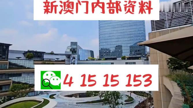 2024新澳门免费资料,关于新澳门免费资料的探讨与警示——警惕违法犯罪风险