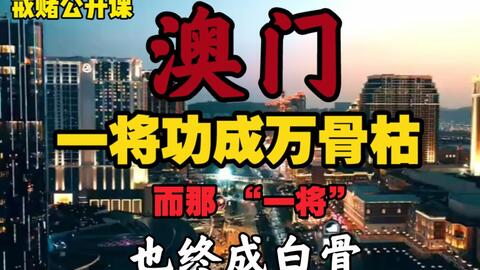 2024澳家婆一肖一特,揭秘2024澳家婆一肖一特，神秘与传奇的交织