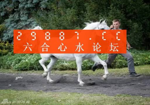 7777788888新版跑狗图,探索新版跑狗图，数字组合的魅力与策略分析