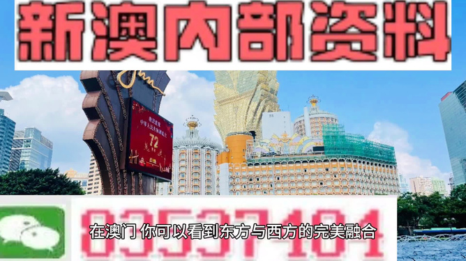 2024新澳资料免费精准051,探索未来之门，新澳资料免费精准服务引领创新之路（关键词，新澳资料免费精准 051）