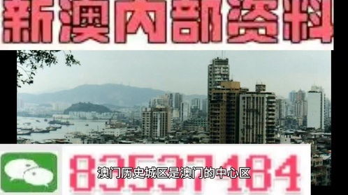 2024年12月24日 第31页