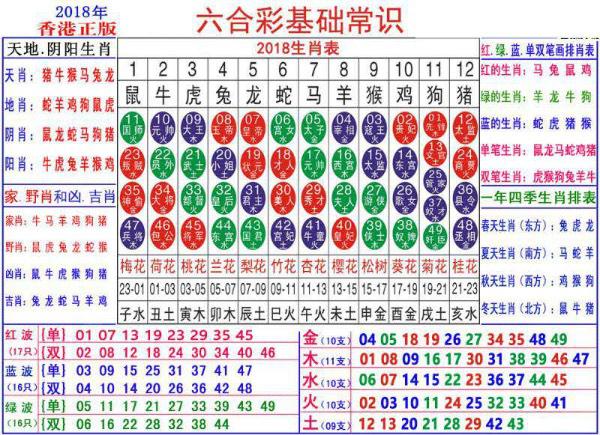 2024澳门正版资料大全资料生肖卡,澳门正版资料大全资料生肖卡，探索与解读