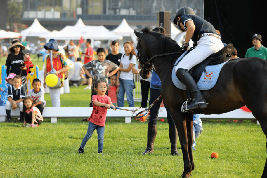 香港今晚开什么特马,香港今晚开什么特马，探索马术运动与香港的深厚渊源