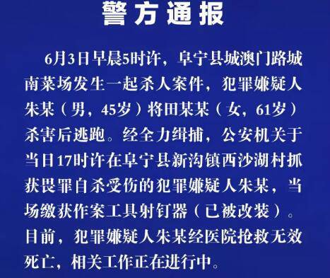 新澳门内部精准二肖,警惕新澳门内部精准二肖——揭示犯罪风险，呼吁公众警醒