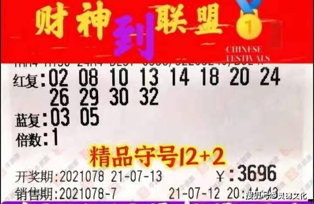 7777788888精准一肖,揭秘彩票背后的秘密，精准一肖的神秘面纱与数字组合的魅力