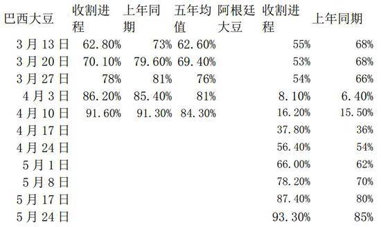 最准一码一肖100%噢,揭秘最准一码一肖，探寻预测真相的奇幻之旅（附个人经历分享）