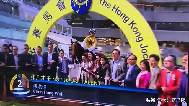 2025今晚香港开特马,香港赛马盛宴，聚焦今晚特马开赛盛况