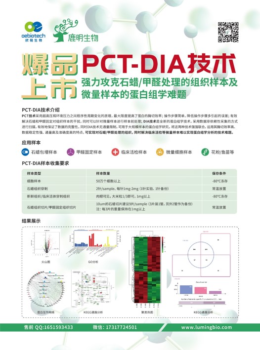 新奥精准资料免费提供510期,新奥精准资料免费提供510期，深度解析与前瞻性预测